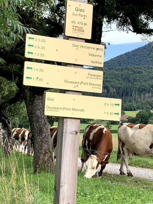 Petit Cocon Entre Lac, Golf Et Montagne, Proche D'Annecy Giez Zewnętrze zdjęcie