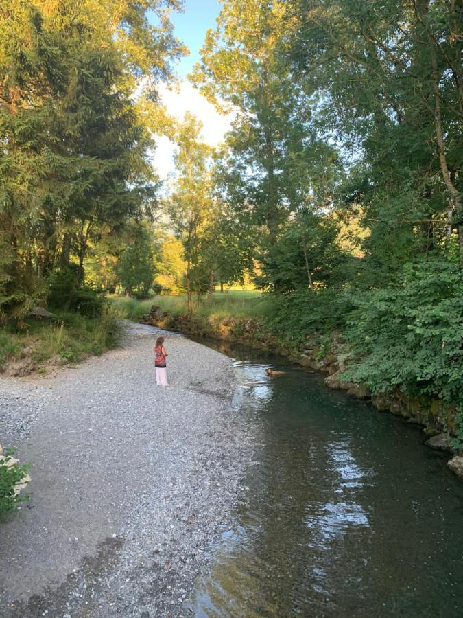 Petit Cocon Entre Lac, Golf Et Montagne, Proche D'Annecy Giez Zewnętrze zdjęcie